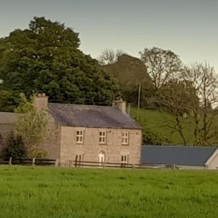 The Hollow Tullow Luaran gambar